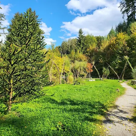 Apartamento Premium In