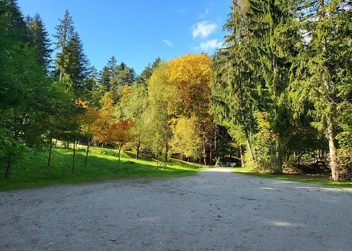 Appartement Premium In *